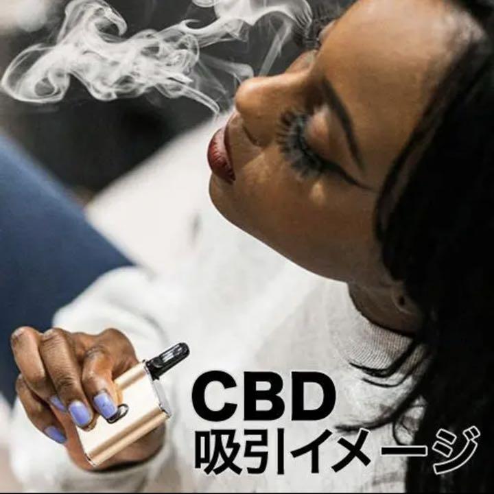 正規輸入 AZTEC CBD 90%WAX DABS マンゴークッシュ 1G RsHeq-m26944442318 セール通販