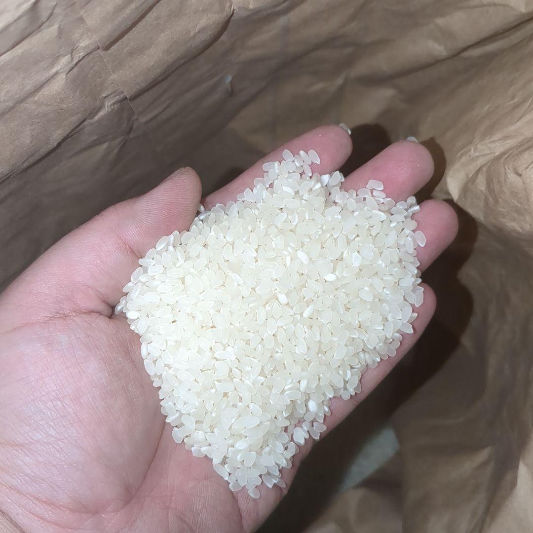 宮城県産 ひとめぼれ米 30kg [精米します]