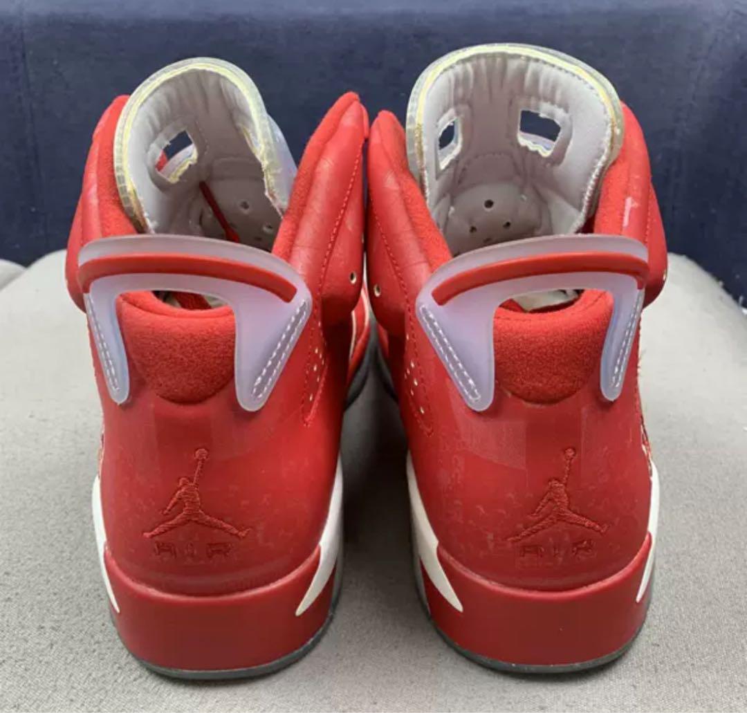 靴 Nike Air Jordan 6 RETRO \"SLAM DUNK\"