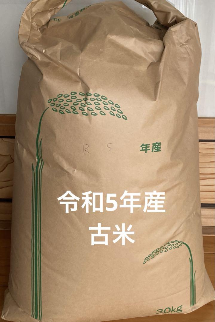 大分県産 古米 令和5年