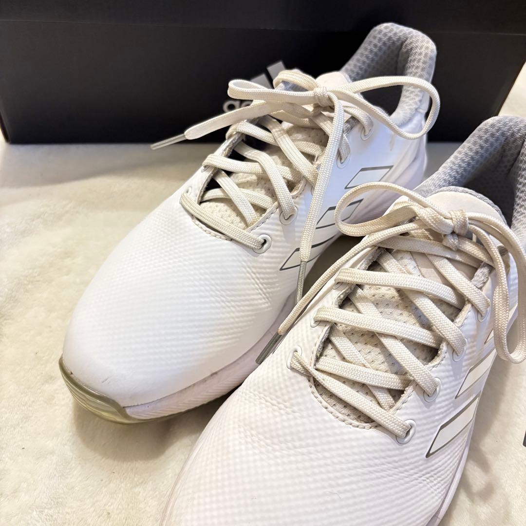 adidas ゴルフ 靴26cm adidas golf