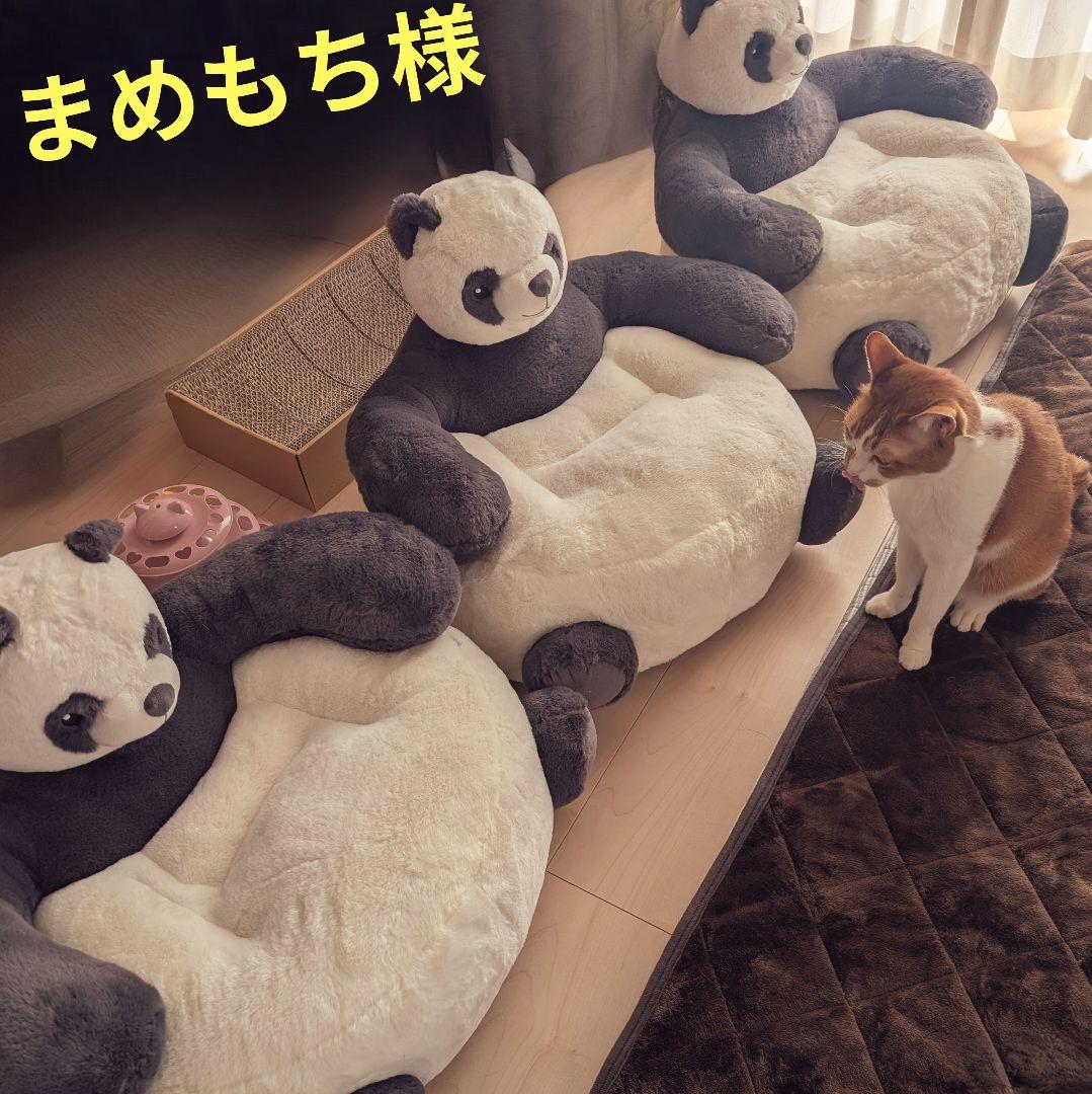 まめもちです！
