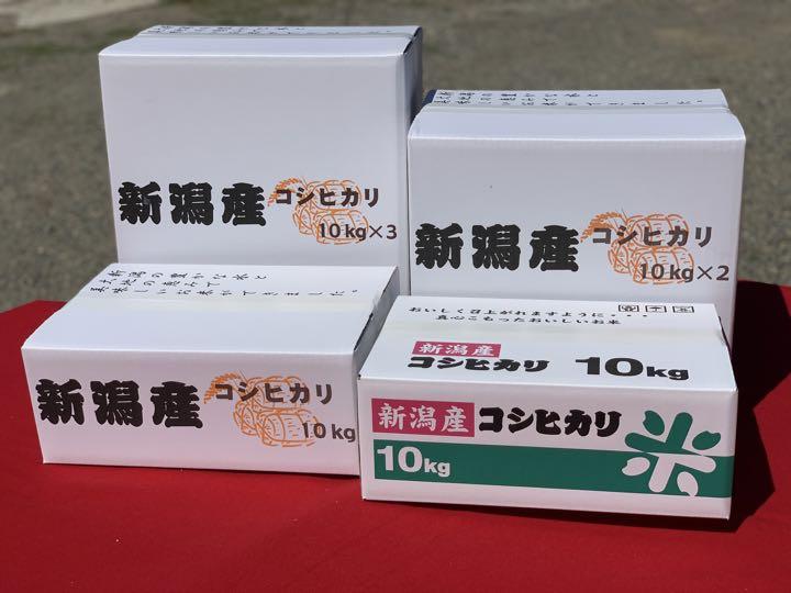 新米 令和4年産新潟コシヒカリ 白米5kg×4個 色彩選別済13 農家直送 ...