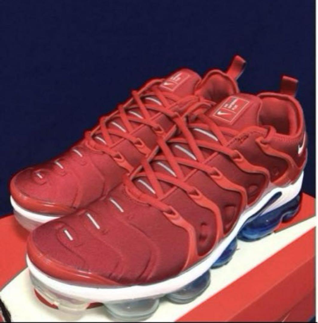 海外モデル✨【♕超レア】NIKE AIR VAPORMAX PLUS USA
