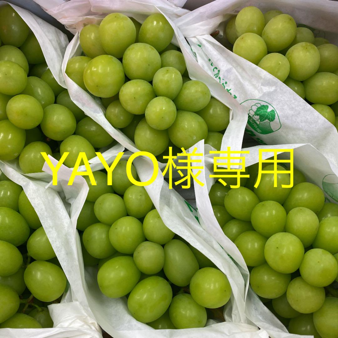 YAYO様専用 シャインマスカット6房 代引き手数料無料 YAYO様専用 シャインマスカット6房 代引き手数料無料