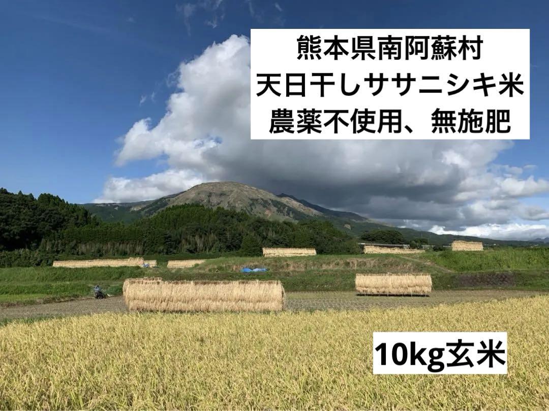 令和6年度ササニシキ天日干し米10kg玄米☆南阿蘇村