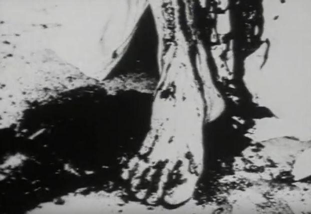 BEGOTTEN DVD ホラー グロテスク スプラッター Amazon.co.jp: DVD『グロテスク』映画/邦画/長澤つぐみ/白石晃士