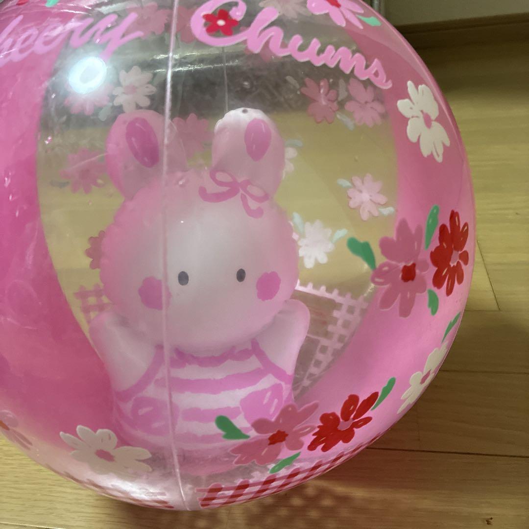 チアリーチャム　サンリオ チアリーチャム｜サンリオ