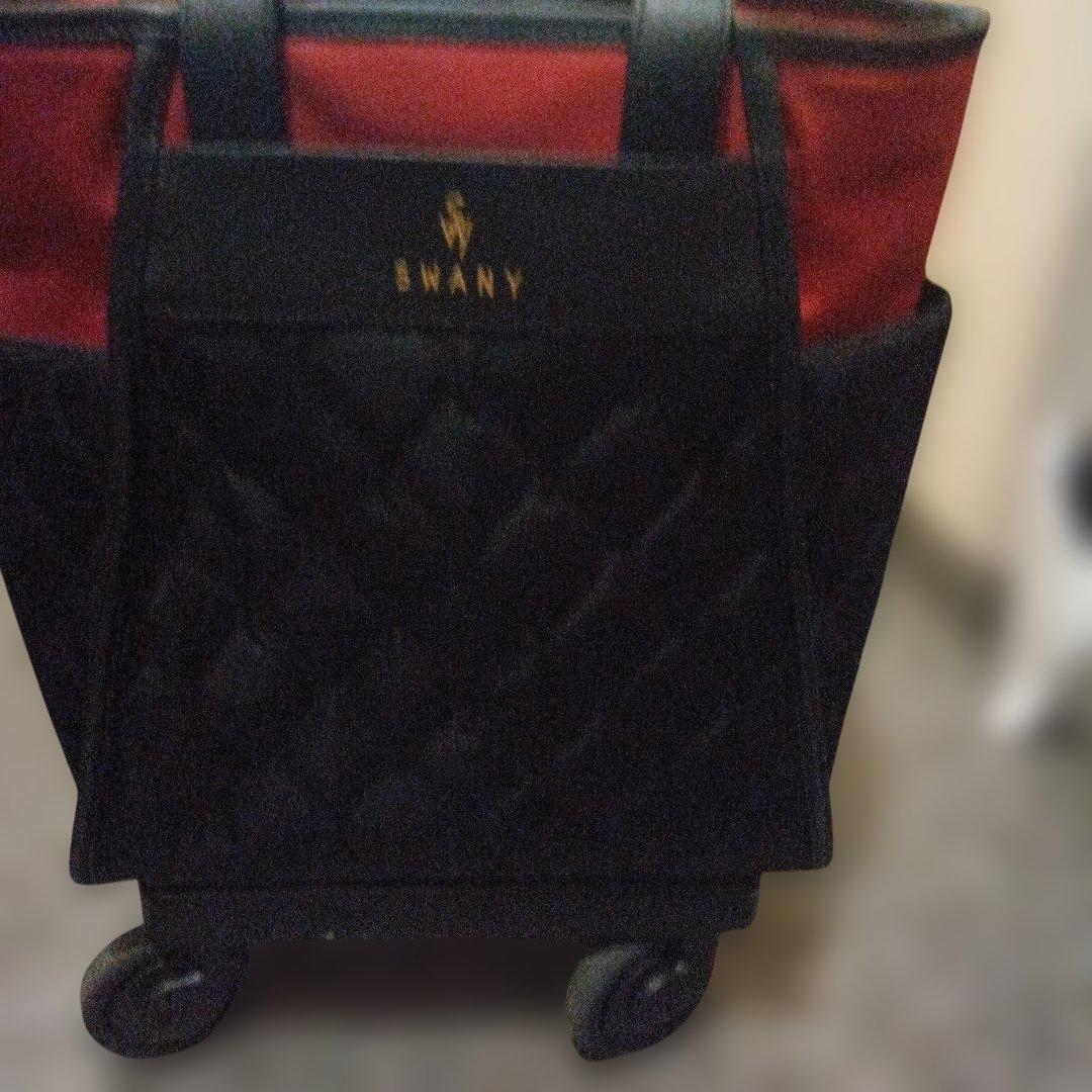 SWANY スワニー キャリーバッグ D-589 プーフォ M21