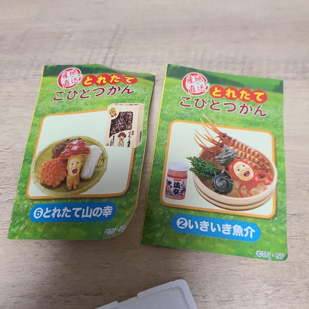 産地直送 とれたてこびとづかん 6種セット