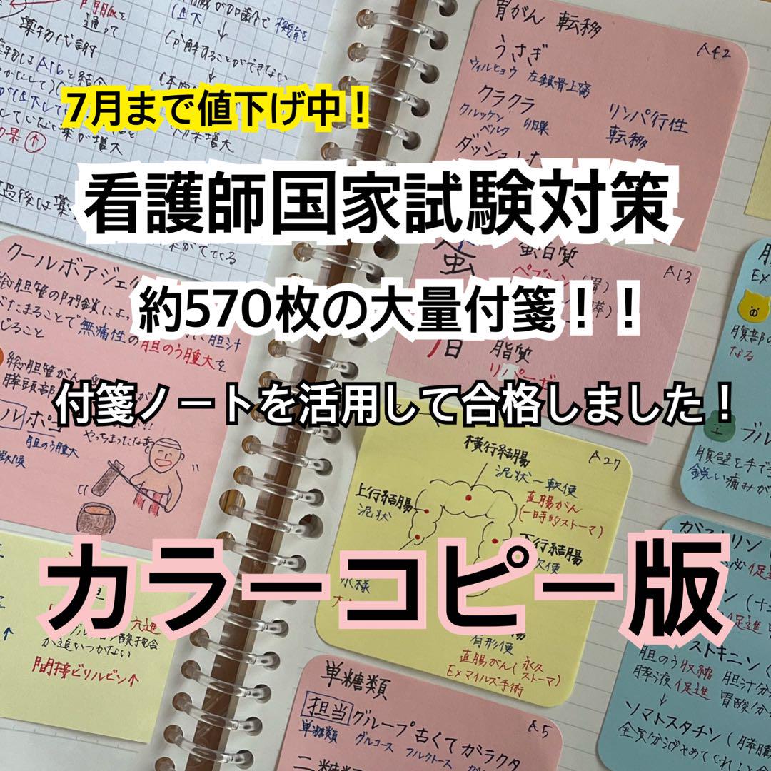 看護師国家試験対策 付箋ノート カラーコピー版 - メルカリ