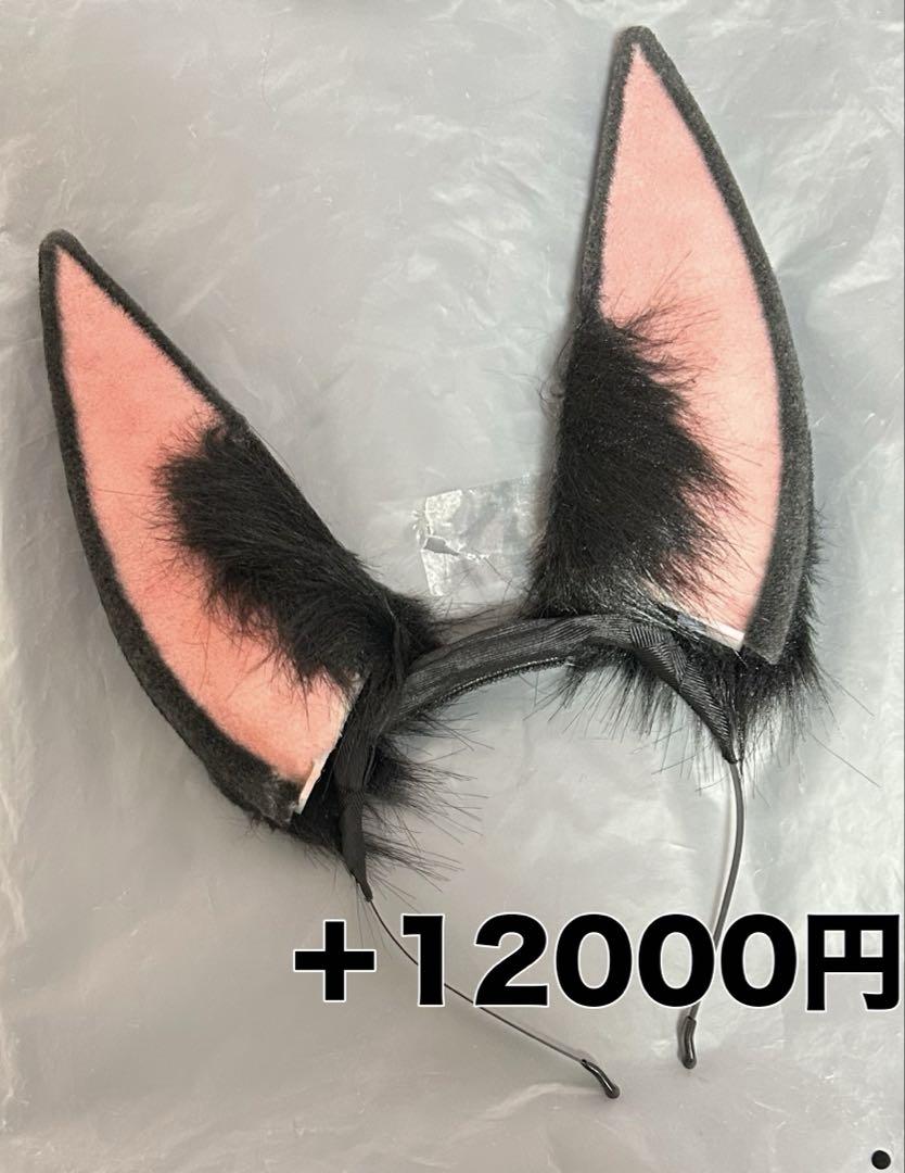三分妄想 原神 ティナリ 衣装 フルセット