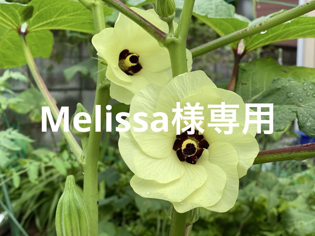 Melissa様専用です。