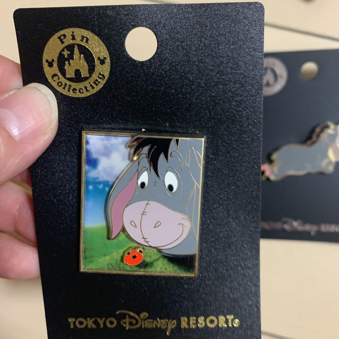 ディズニー　エンプロイーセンター　限定　ピンバッジ Disney ディズニーランド60周年限定 ミニー スリーピング