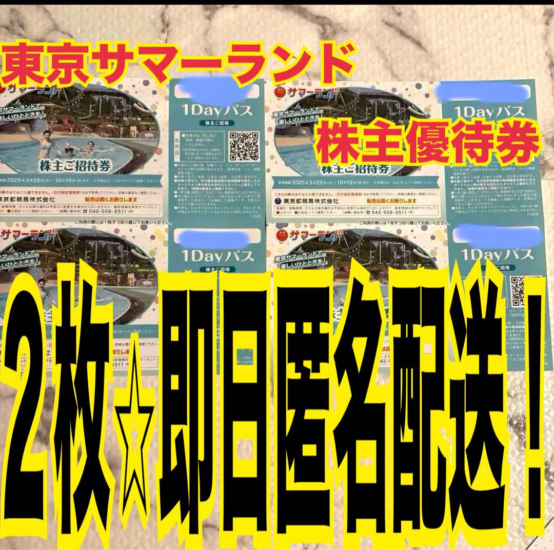 サマーランド　株主優待券　２枚　即日匿名配送　夏休み利用可能　遊園地フリーパス
