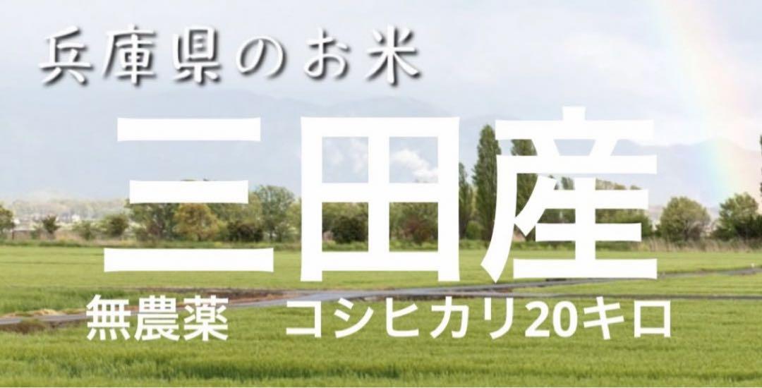 新米　安全なお米　玄米　令和6年産兵庫県三田産完全無農薬栽培コシヒカリ20キロ