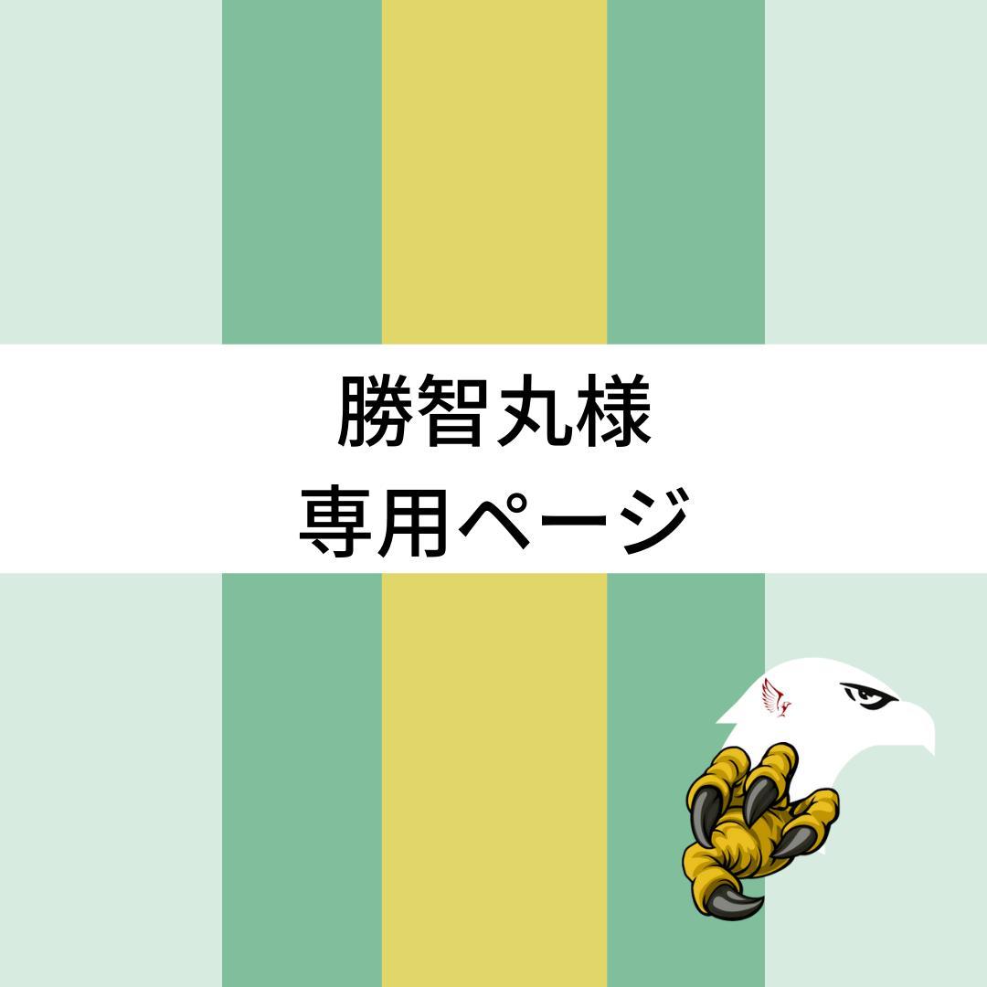 勝智丸様専用ページ PUベルト黒×3本 鷹アメリカ 肉球モン族バックル