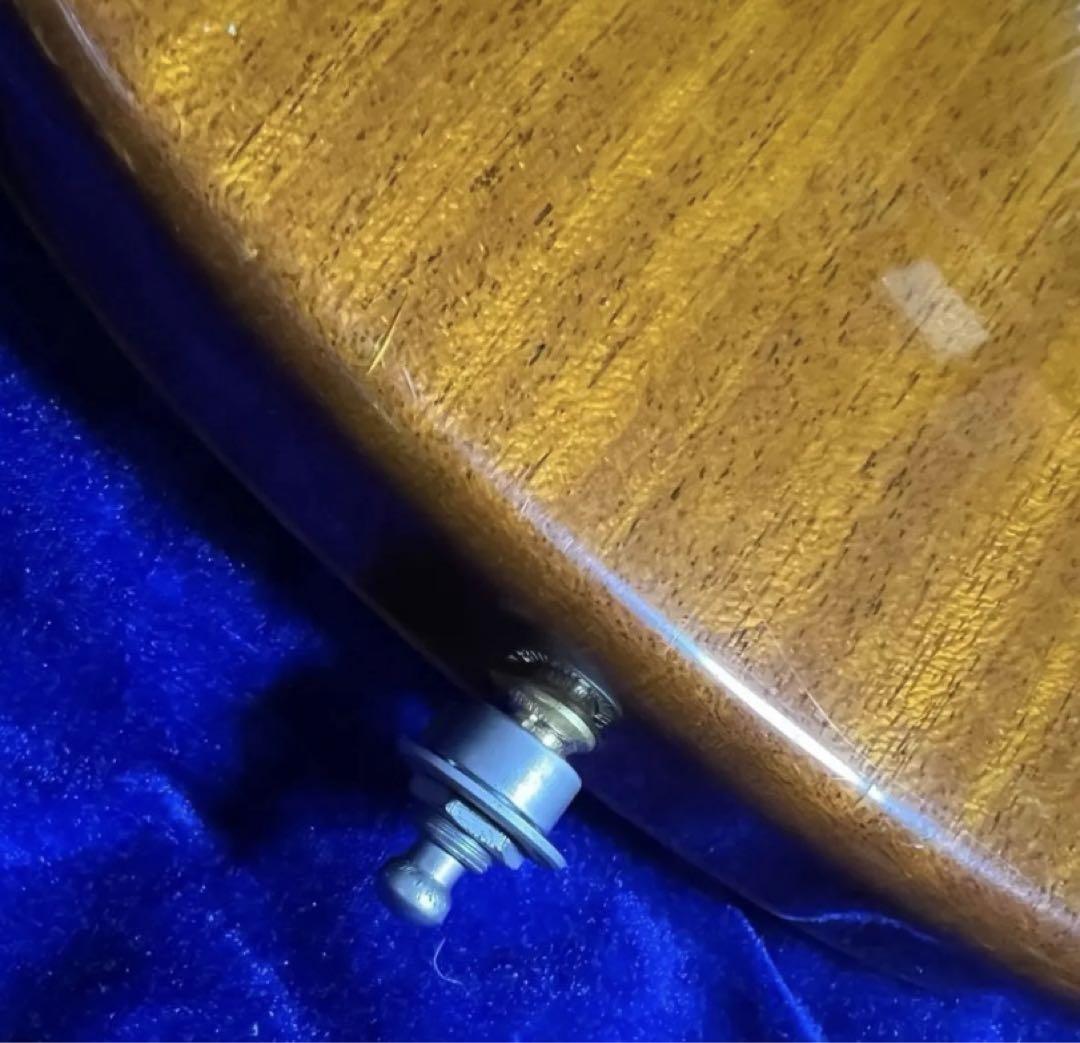 ギター Fernandes APG-100
