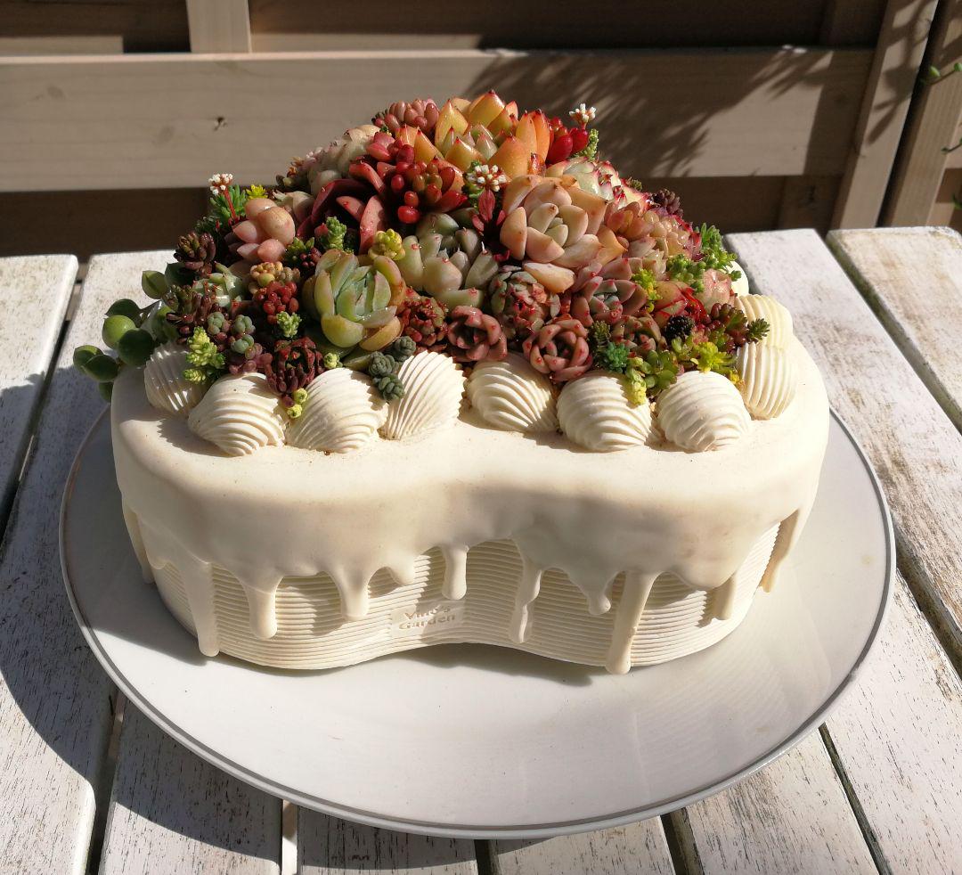 高評価在庫 多肉寄植え♡ハートケーキ鉢 Mvkjf-m27187575717 全国無料新品