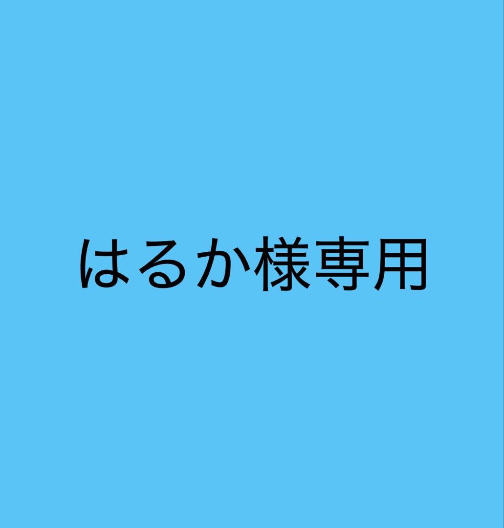 【はるか様専用】空気清浄機　カラリエ
