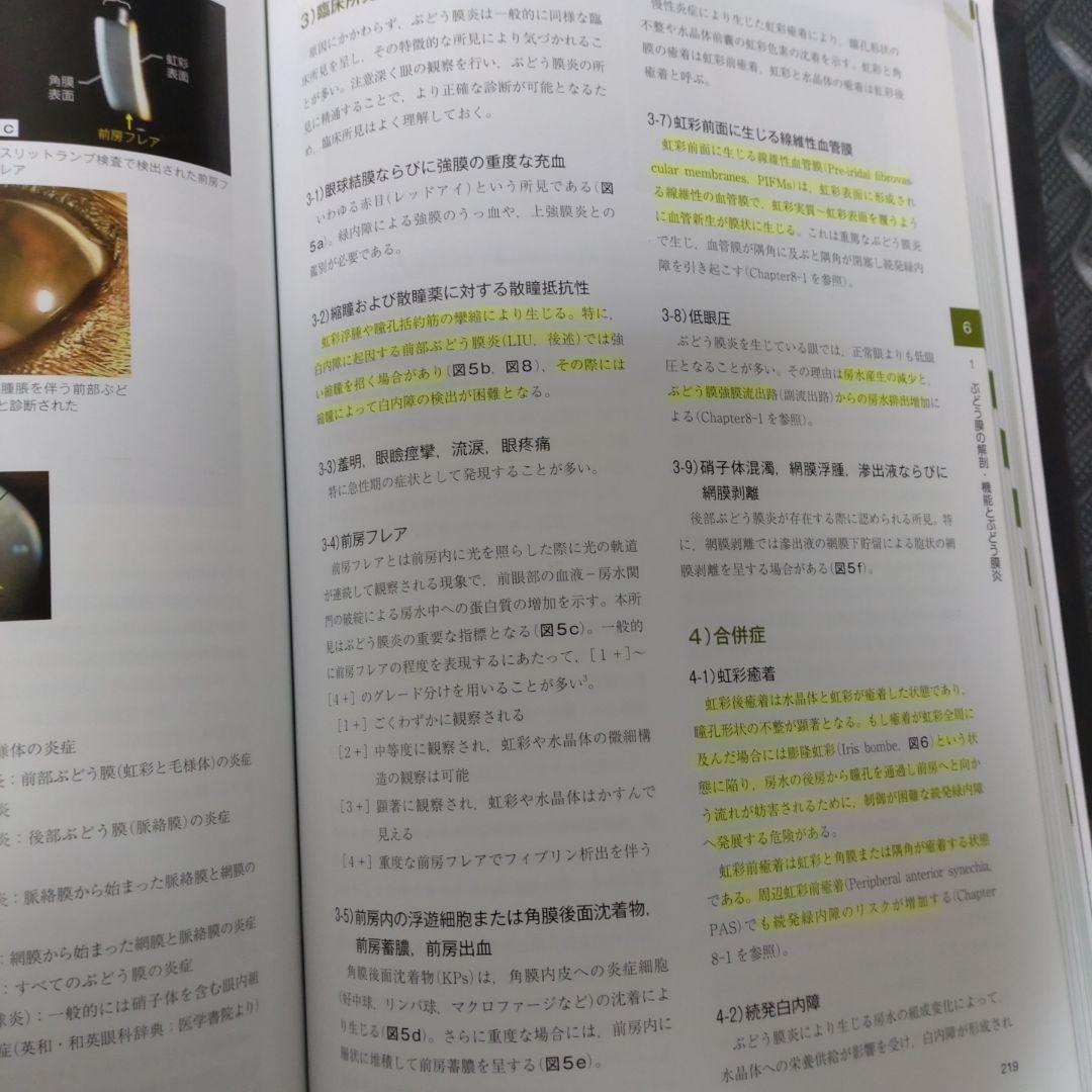 【裁断済】伴侶動物の眼科診療 スキルアップを目指すジェネラリストのために 伴侶動物の眼科診療 -スキルアップを目指すジェネラリストのため