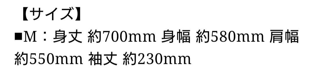 坂本龍一「12」 T-shirts 1月バージョン　公式　Mサイズ