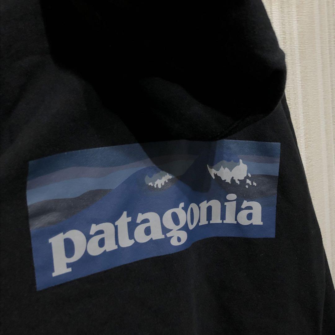 極肉厚 patagonia パタゴニア スウェットパーカー 黒