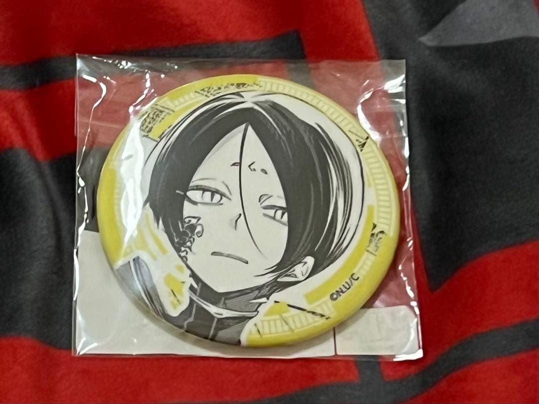 灰蜥蜴 くじメイト アクスタ 缶バッジ お値下げ中 列強戦線 灰蜥蜴 くじメイト缶バッジ - メルカリ