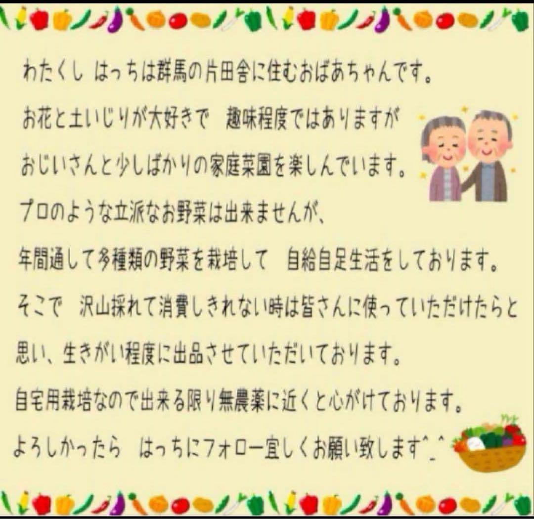 群馬産こんにゃく芋　梱包込み約１０キロ
