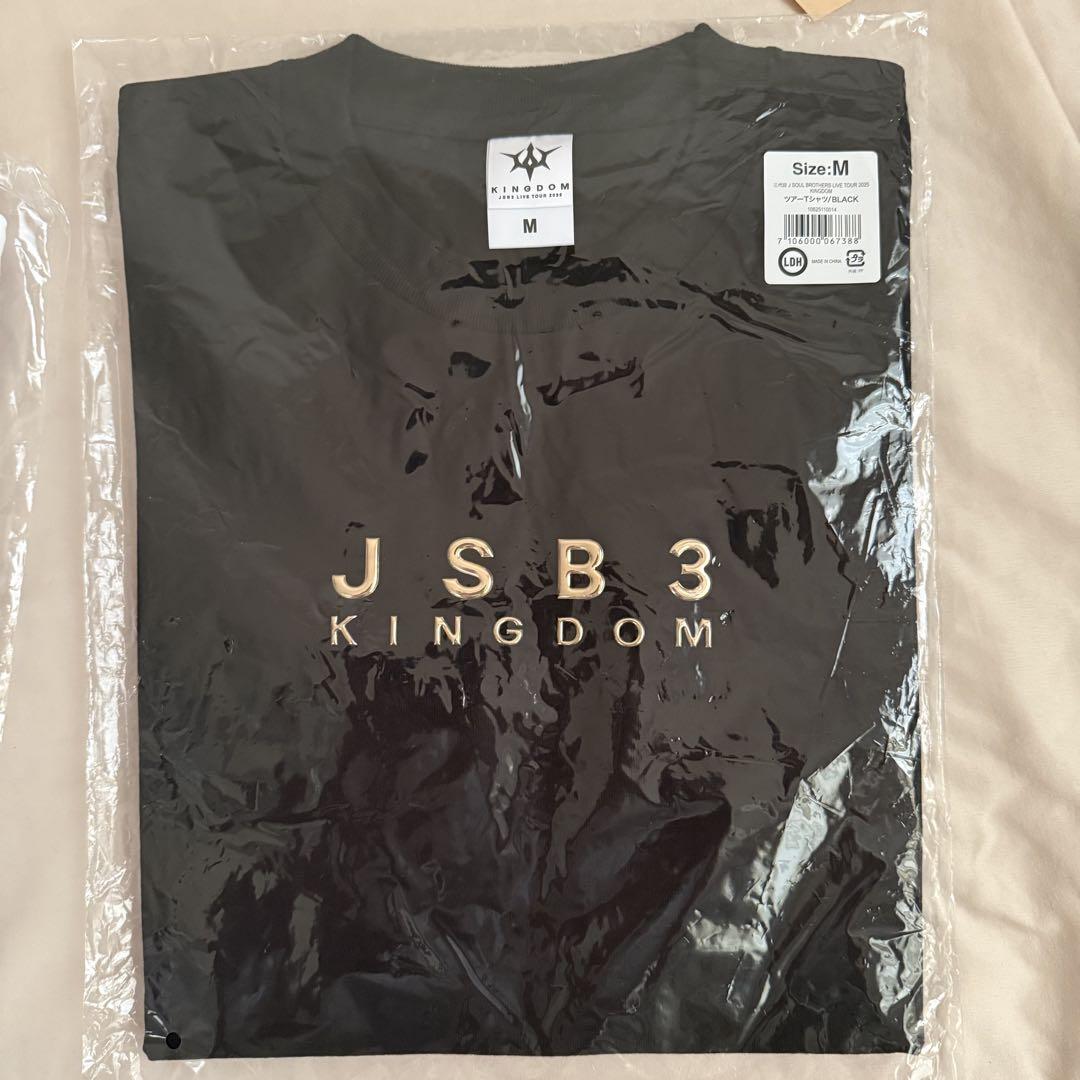 三代目 JSB KINGDOM ツアーTシャツ Sサイズ