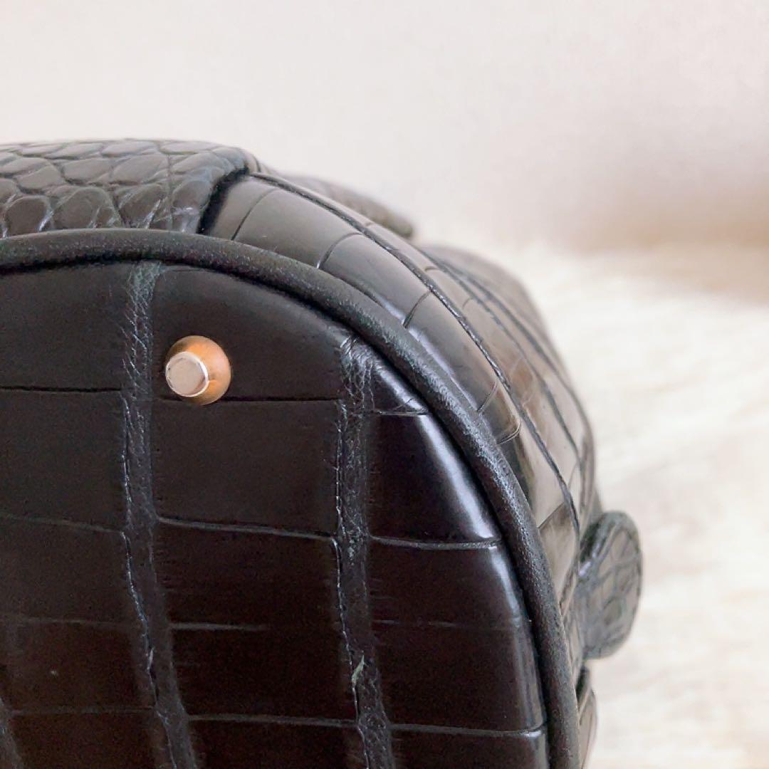 Crocodile✨️クロコダイル ハンドバッグ センター ブラック