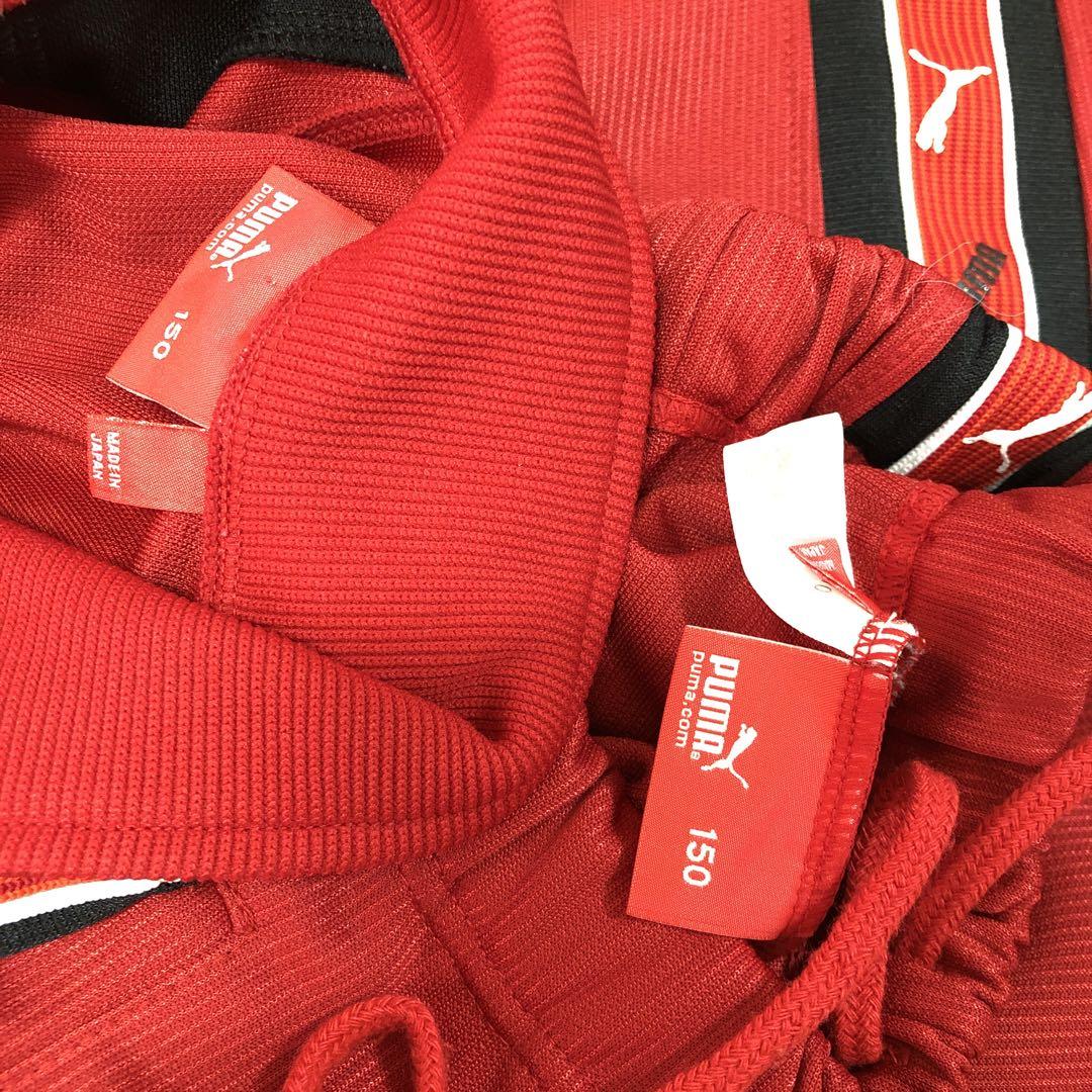 PUMAプーマ ラインロゴ入り セットアップジャージ上下150cm 赤