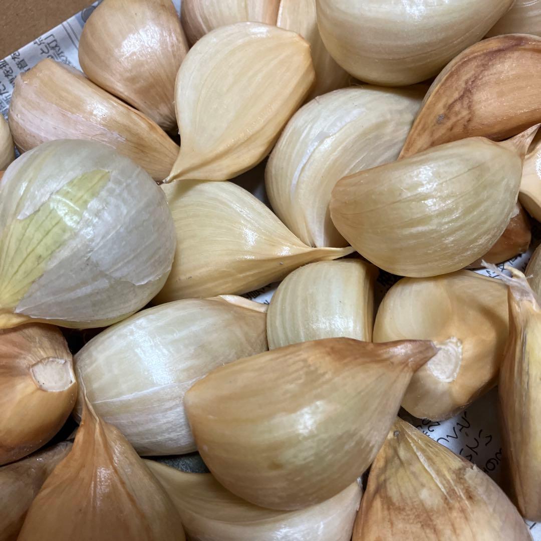 無臭にんにく（乾燥）バラ５㎏/80サイズ 栽培期間中 農薬不使用 兵庫県産