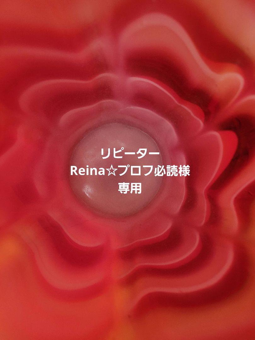 Reina☆プロフ必読
