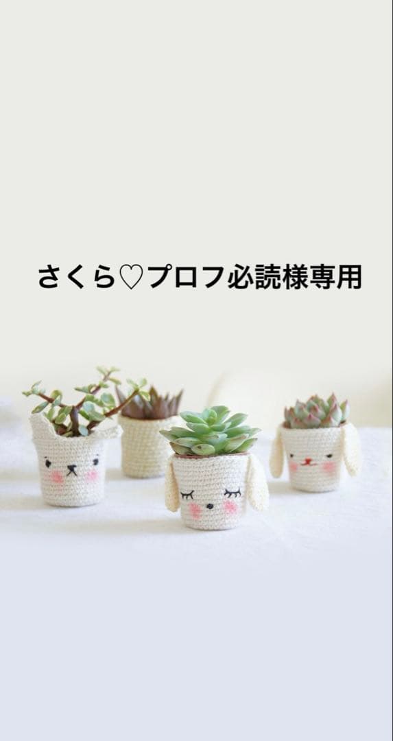 リバティタナローン　生地　ハギレバラ売り 13,200円