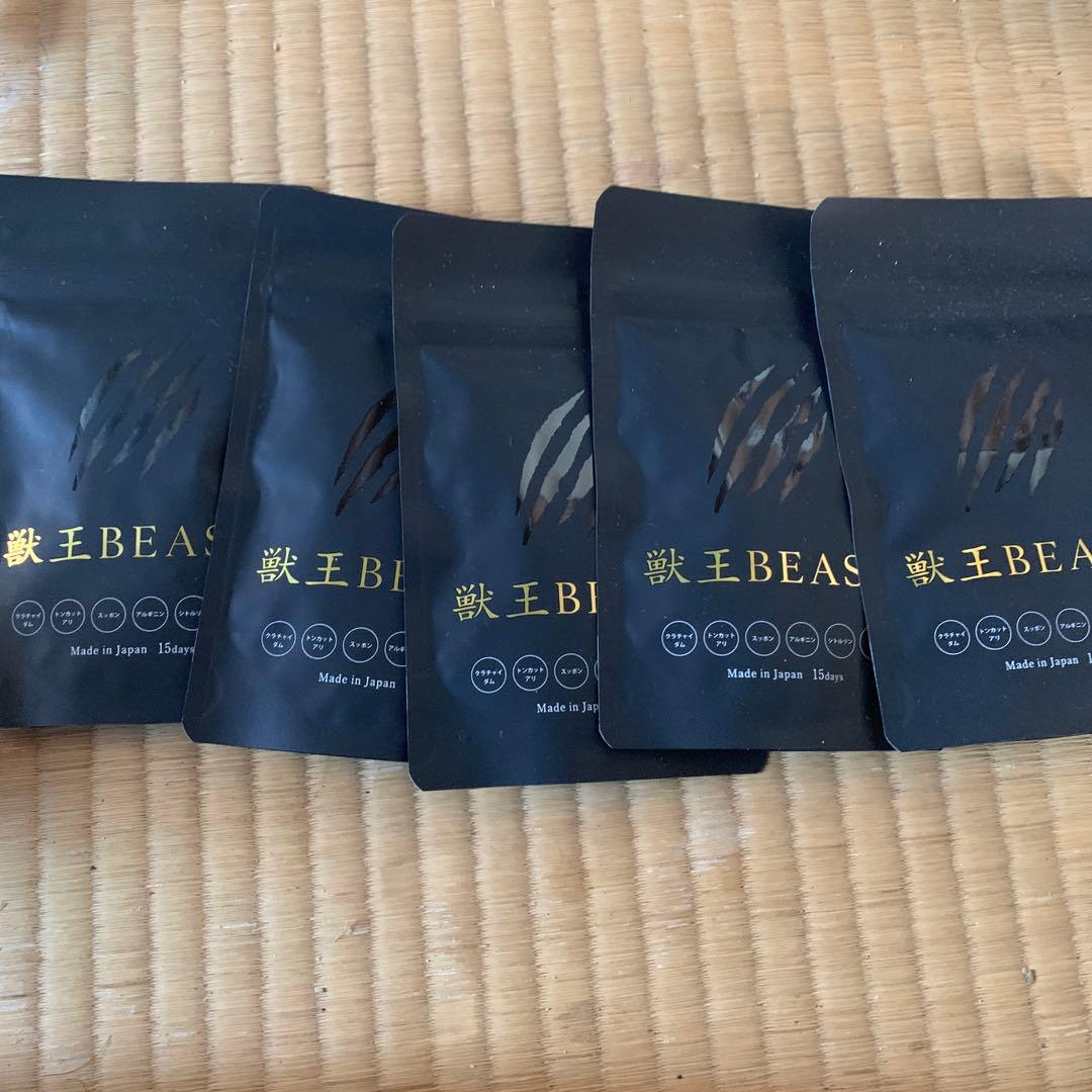獣王BEAST 5袋