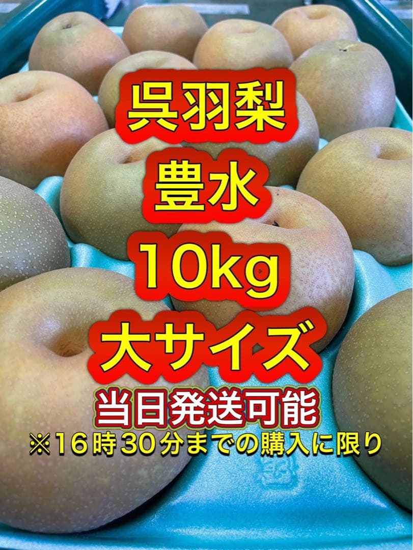 ［当日発送可］呉羽梨 豊水大サイズ 10kg 規格外　132