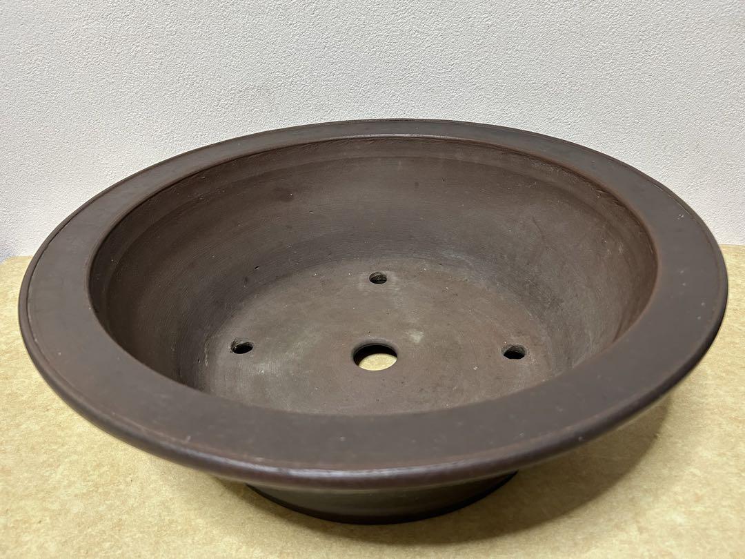 陶陽　盆栽鉢