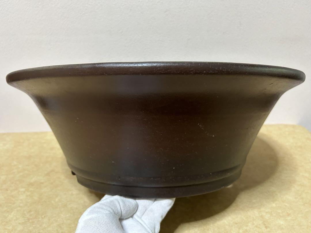 陶陽　盆栽鉢