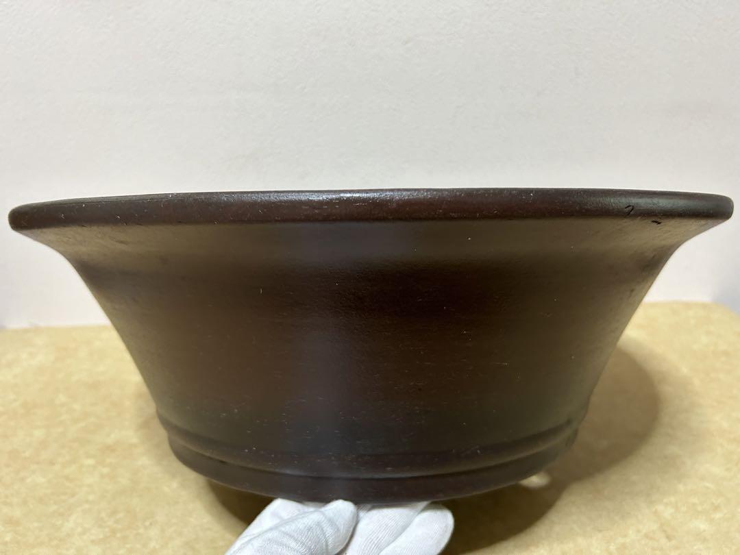 陶陽　盆栽鉢