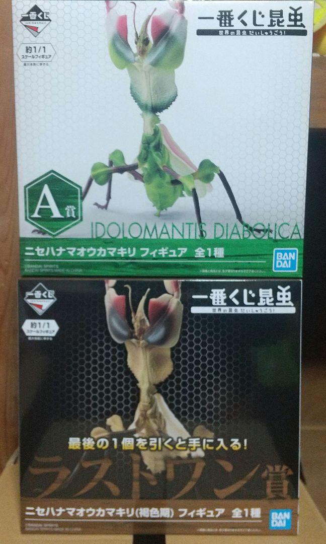 一番くじ昆虫 世界の昆虫だいしゅうごう! A賞 ラストワン