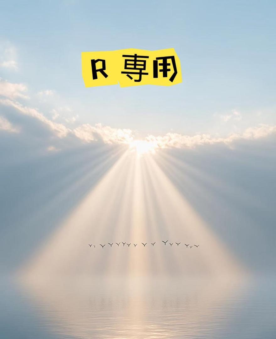 R 専用