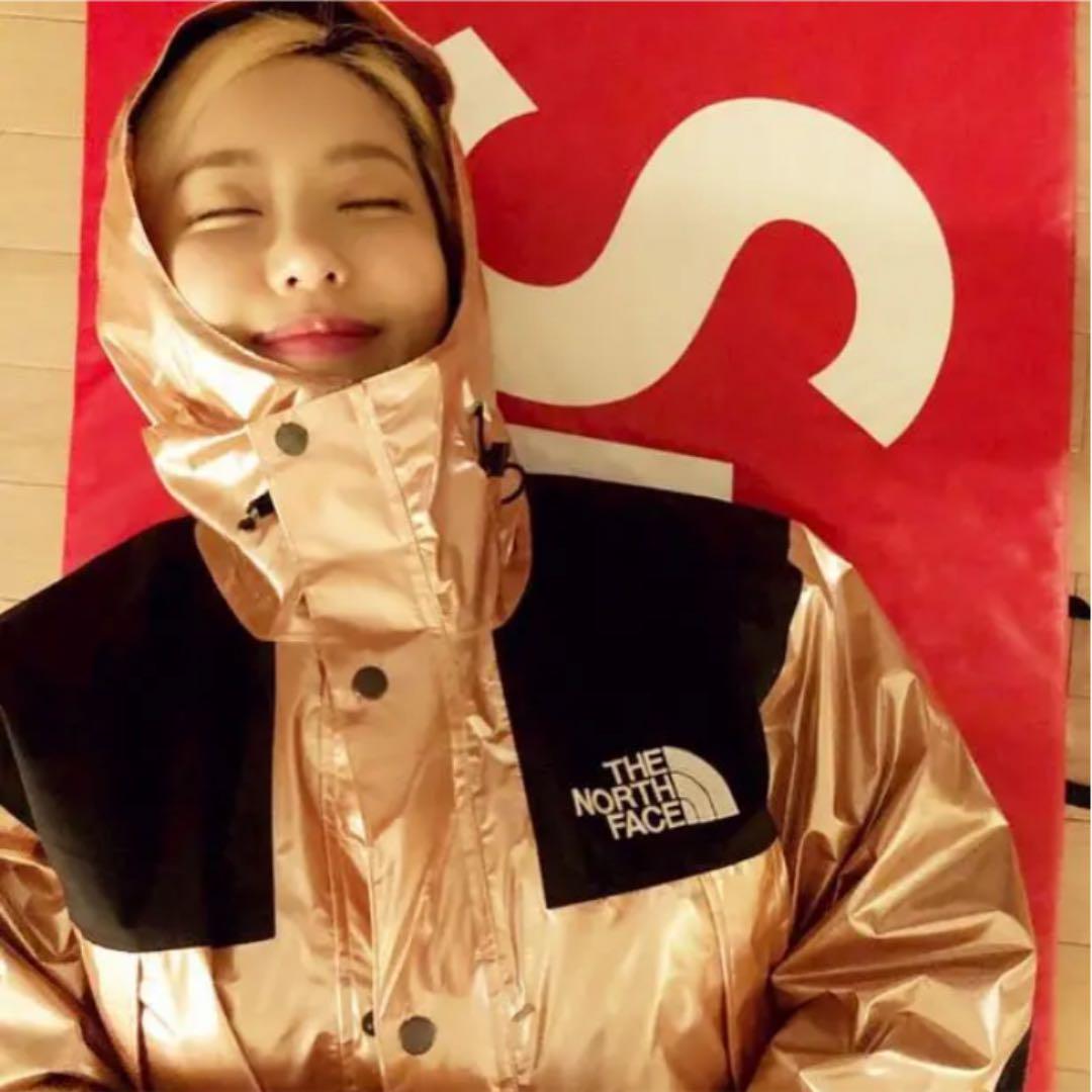 高評価低価 supreme north metallic mountain parka IPLTG-m27405944474 2022安い