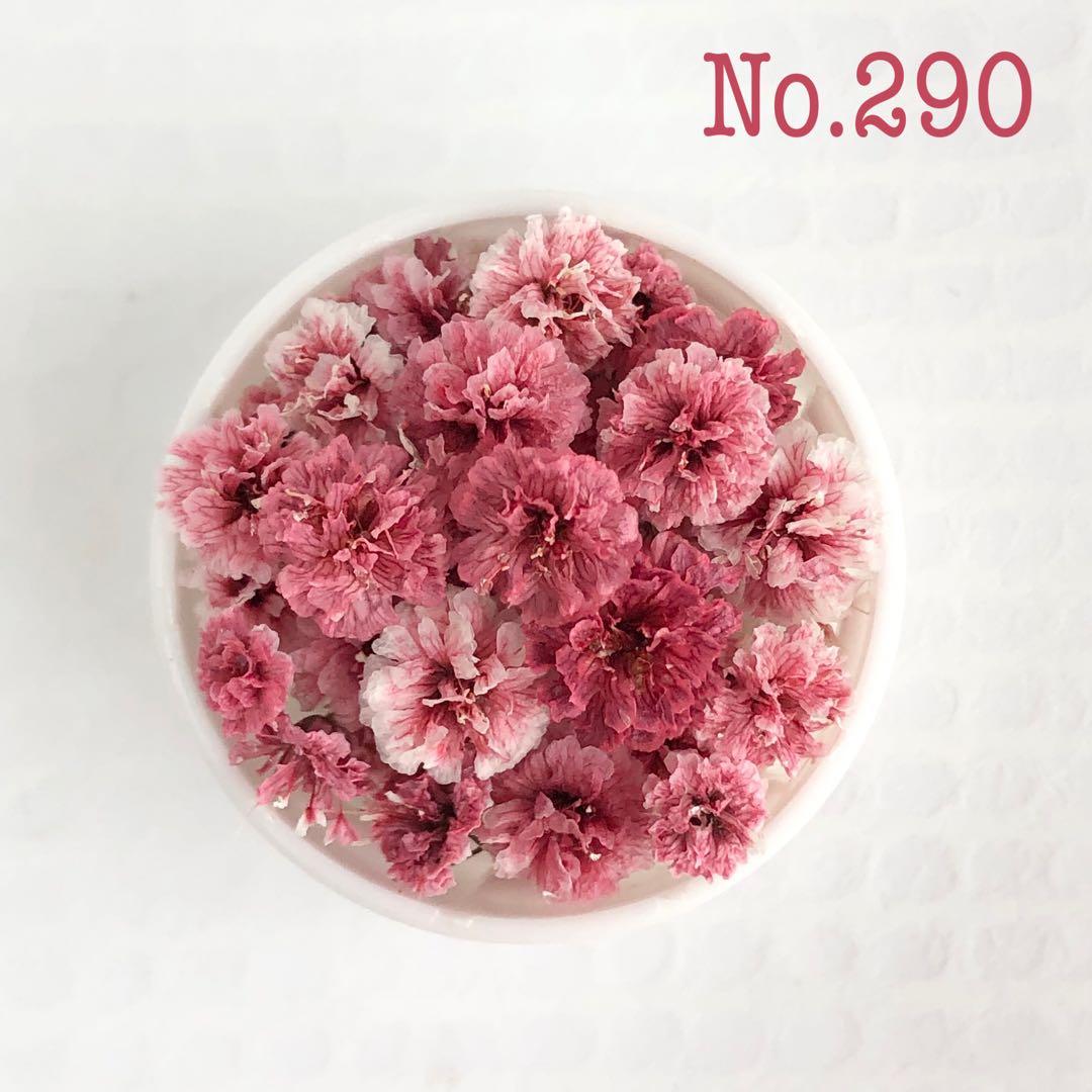 かすみ草 ローズ ドライフラワー No.290