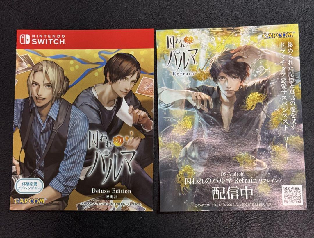 Switch 囚われのパルマ デラックス エディション