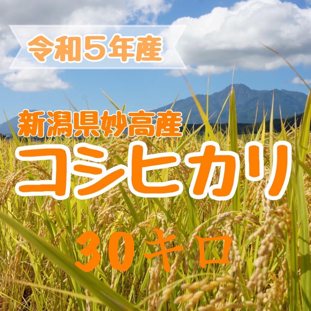 ROSE様専用【農家直送】令和5年度 新米 新潟・妙高産コシヒカリ30キロ