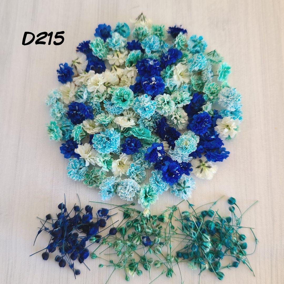 かすみ草 ドライフラワー D215 各種パーツ かすみ草 ドライフラワー D215 各種パーツ