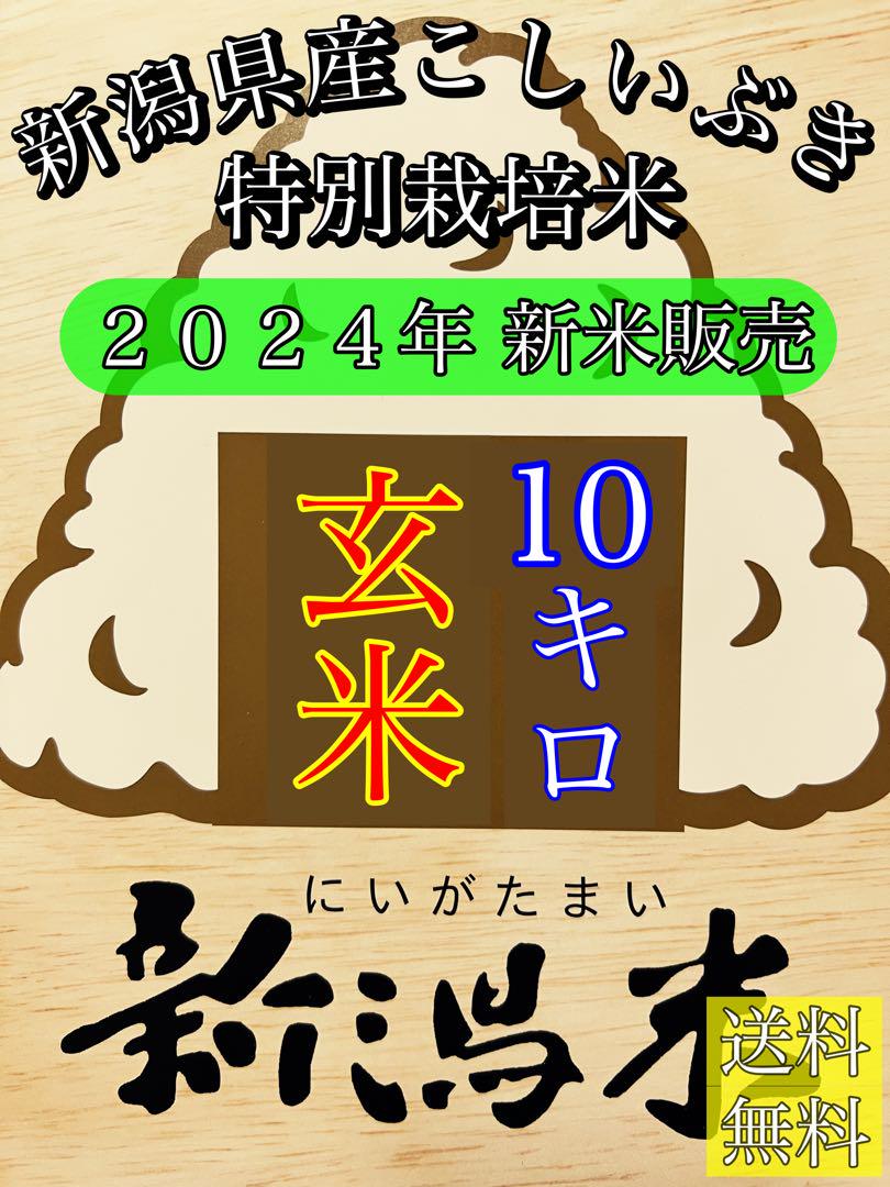 玄米10キロ【農家直送！】新潟県産こしいぶき 特別栽培米 6年産 低温