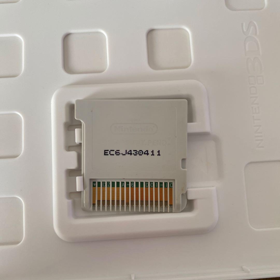 【動作確認済み】3DS トモダチコレクション 新生活　ケース付き　ソフト