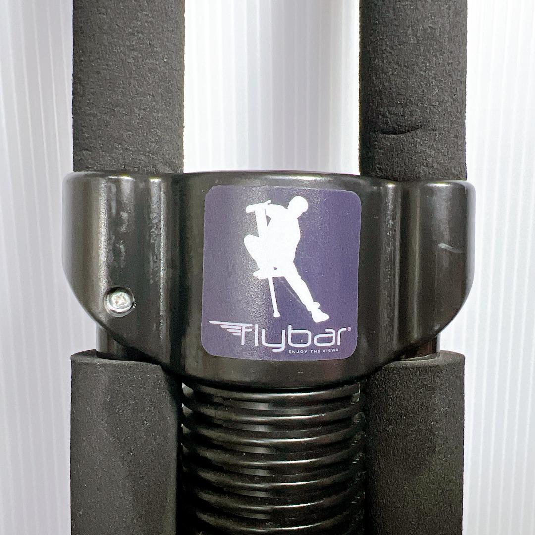 【良品✨】ホッピング Flybar フライバー BL Master pogo